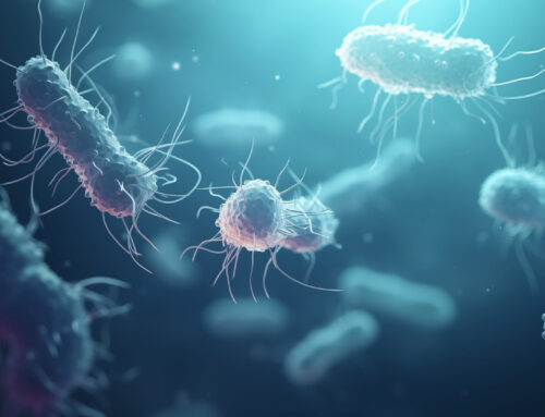 Reciprocal links likely between certain groups of gut bacteria and insomnia risk