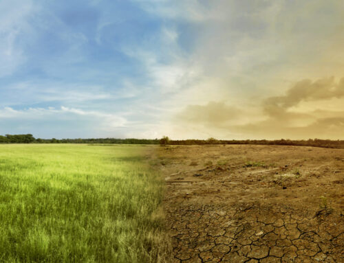 ‘Solastalgia’ might help explain effects of climate change on mental health