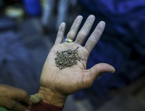 Quitting tobacco could give major economic uplift to 20 million + households in India