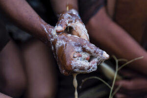 A San Bushmen woman using the pulp from a tuber root to makesoap for washing her hands and face