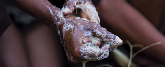 A San Bushmen woman using the pulp from a tuber root to makesoap for washing her hands and face