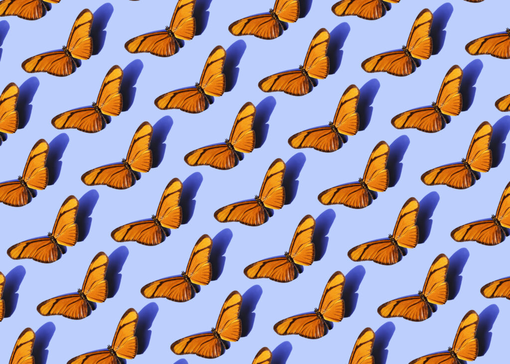 Generic image supporting text around repeated acraea