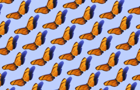 Generic image supporting text around repeated acraea
