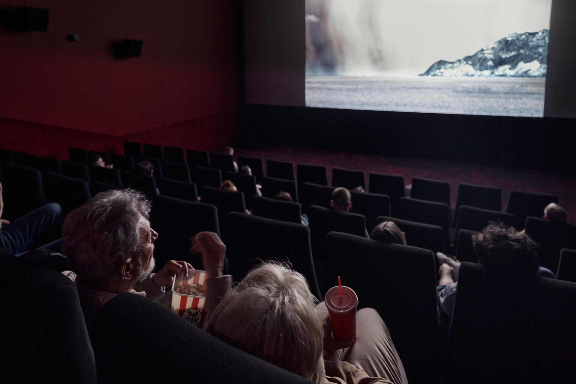 Going to the cinema, theatre or a museum may slow down physiological ageing