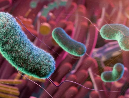 Imbalances in the oral microbiome linked to symptomatic hand osteoarthritis