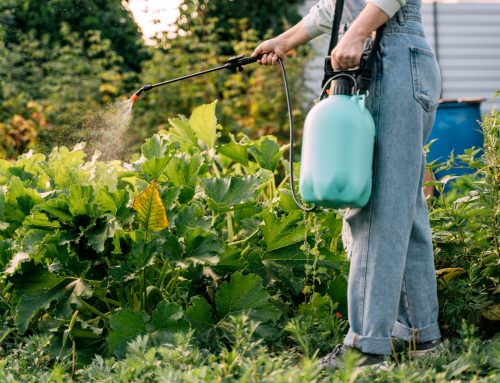 Workers’ pesticide exposure linked to 60-70% heightened motor neuron disease risk
