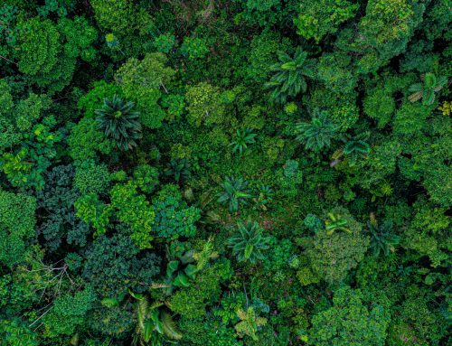 Use green transition funds to achieve health for all