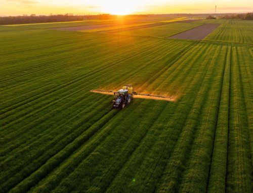 Sweeping changes to agri-food supply chain needed to tackle global food shortages